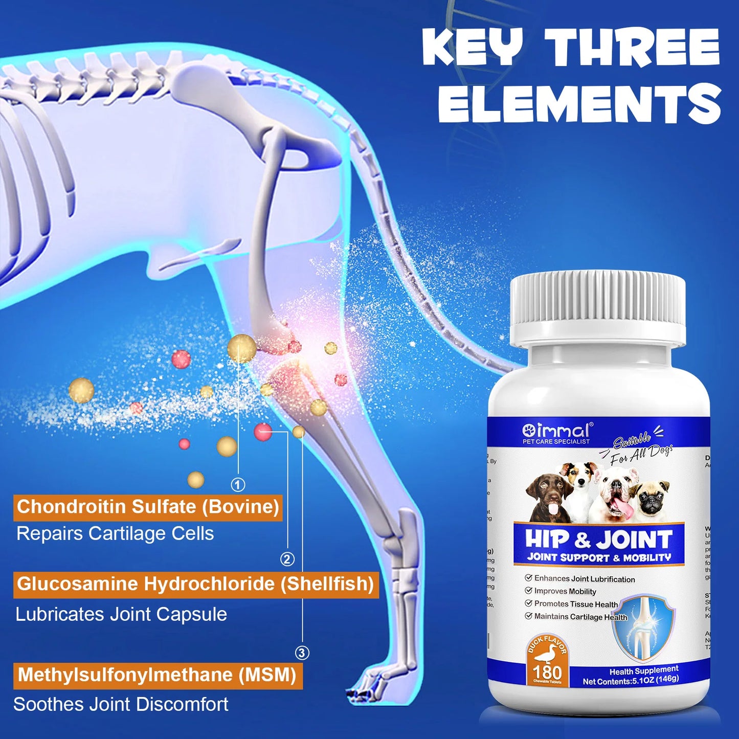 Hip and Joint Supplement Nourishing Support for Your Canine Companions Mobility and Flexibility Support Joint Health for Dogs