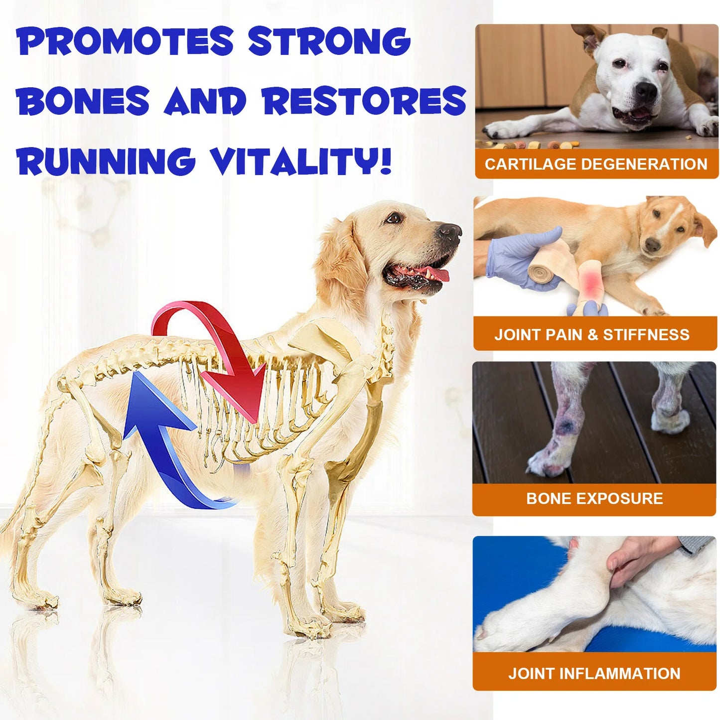 Hip and Joint Supplement Nourishing Support for Your Canine Companions Mobility and Flexibility Support Joint Health for Dogs