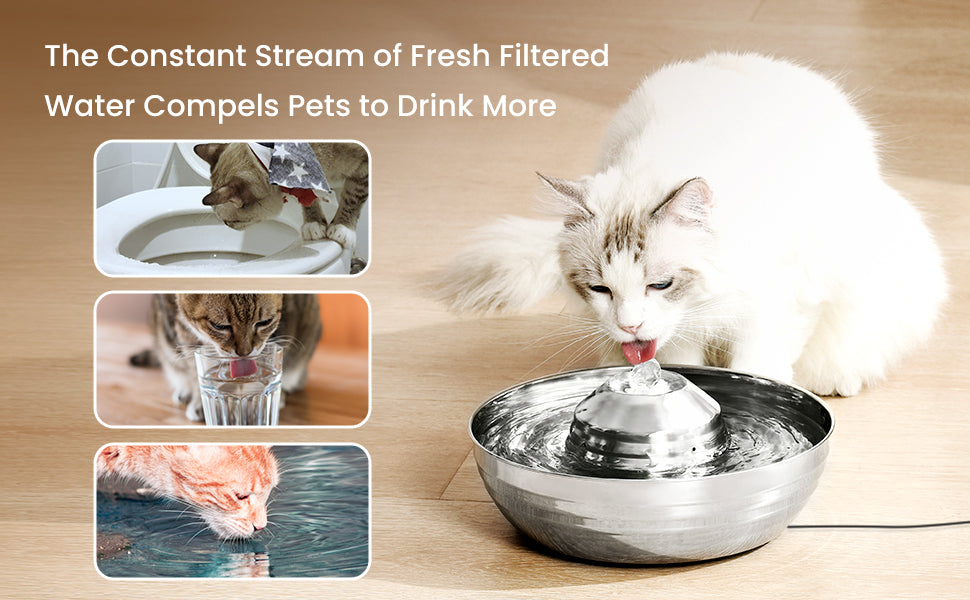 Cat Water Fountain Automatic Pet Dog Feeder Stainless Steel Water Dispenser Drinking Bowl with Ultra Quiet Pump Carbon Filters