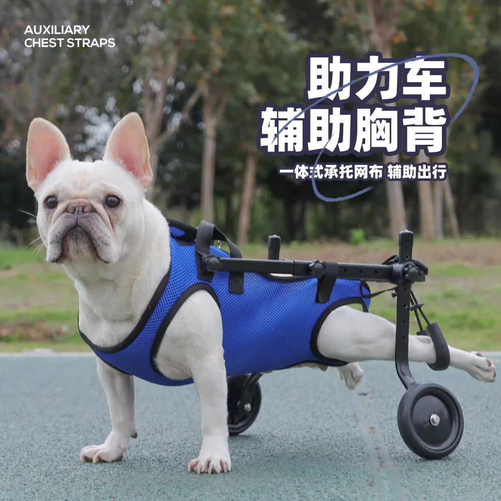 Pet Assisted Multifunctional Dog Chest Harness, Traction Rope, Pet Assisted Bike, Chest and Back Assistance