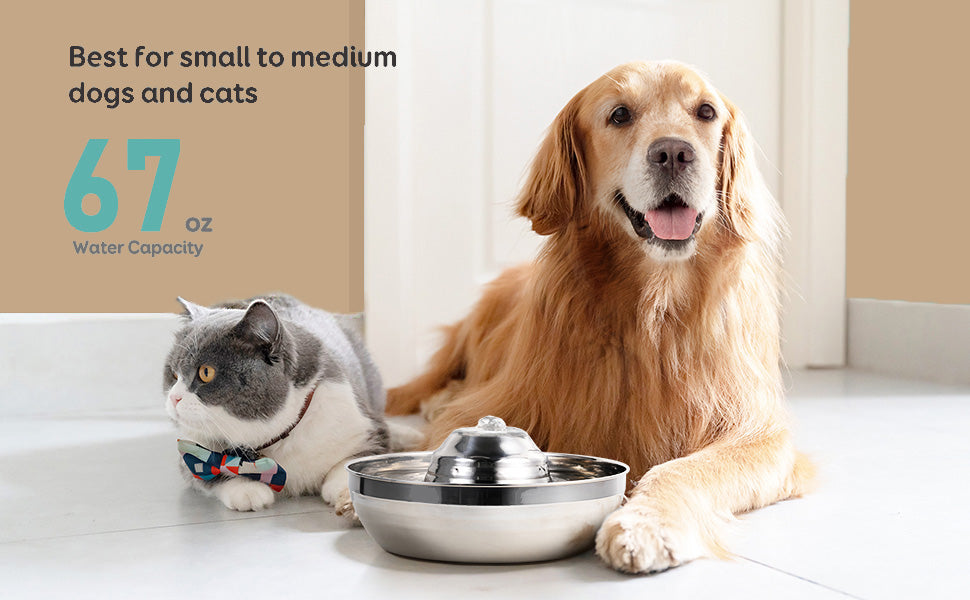 Cat Water Fountain Automatic Pet Dog Feeder Stainless Steel Water Dispenser Drinking Bowl with Ultra Quiet Pump Carbon Filters