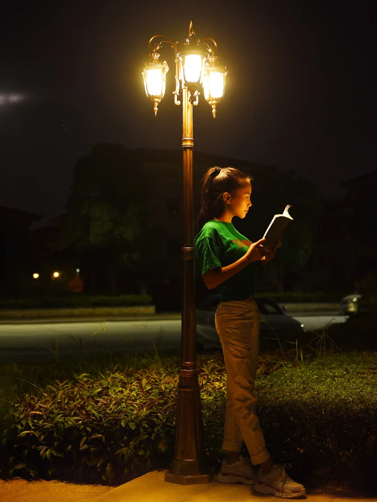 (H≈2.3M)Garden Lights Street Lights Lawn Flowers Park Lights Waterproof Outdoor Villa High Pole Lights Landscape