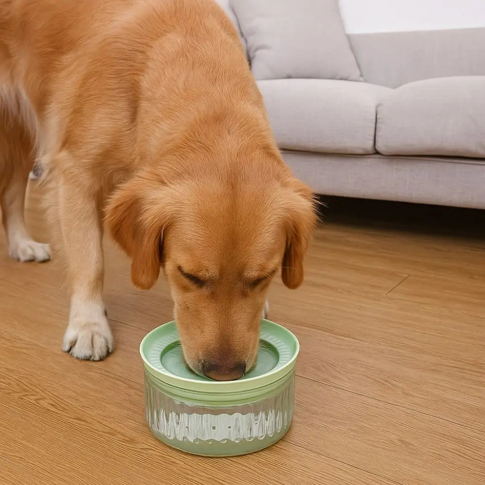 Large Capacity Pet Water Bowl Anti Splash Anti-tipping Pet Drinking Bowl Anti Wetting Mouth Detachable Automatic Dog Bowl