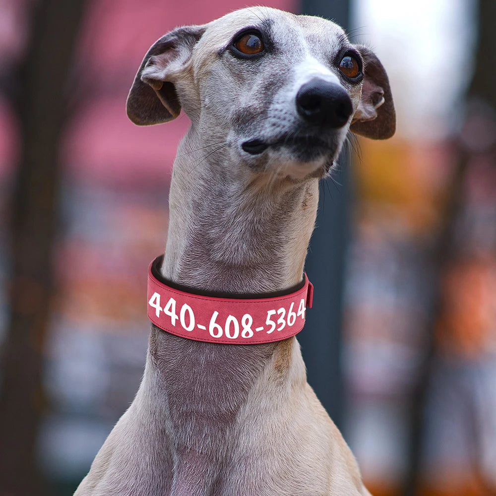 Customized Leather Dog Collar Personalized Wide Padded ID Collars Free Print Name Number For Medium Large Dogs Dogs Greyhound