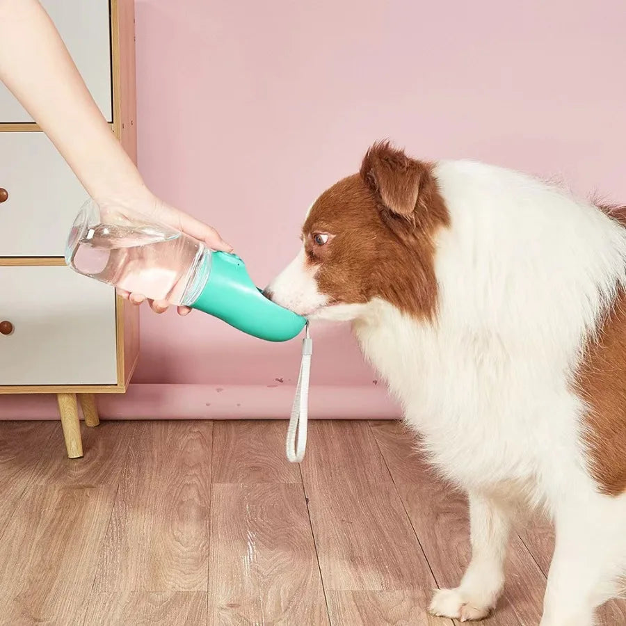 1pc Leak-Proof Portable Dog Water Bottle For Outdoor Adventures