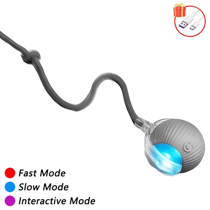2025 Rechargeable Auto Interactive Cat Ball with Faux Tail Wireless Smart Motion Sensor Cat Toy for Indoor Cats Pet Accessories