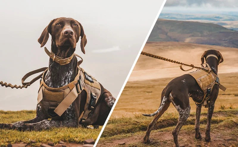Tactical Military Vest Pet German Shepherd Golden Retriever Tactical Training Dog Harness and Leash Set For All Breeds Dogs