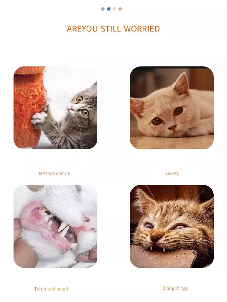 Cat toy Audible carrot tickling cat stick high and boring baby cat molar stick Bite resistant cat scratching board pet products