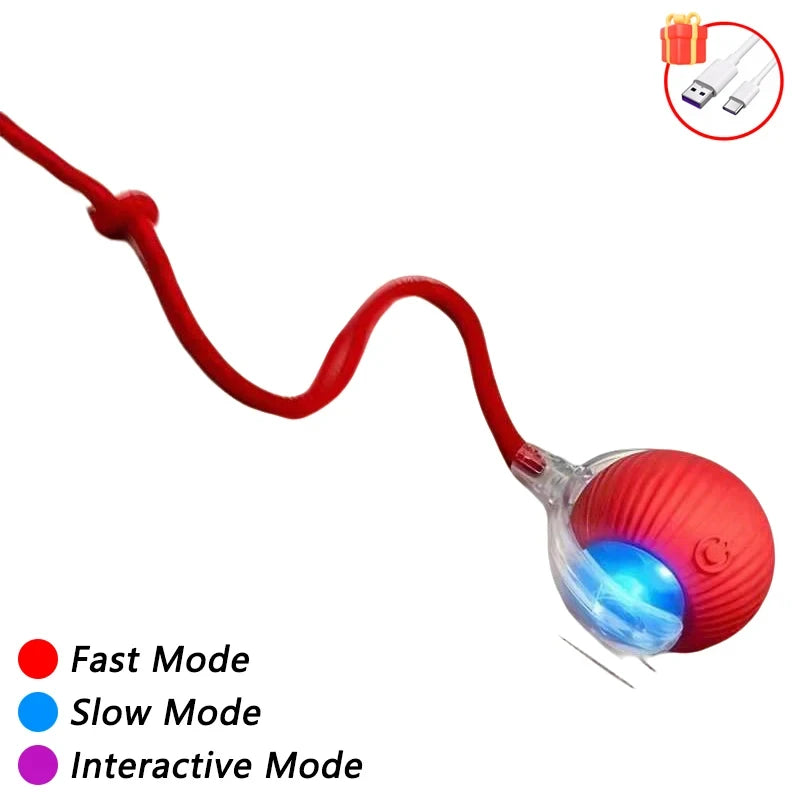 2025 Rechargeable Auto Interactive Cat Ball with Faux Tail Wireless Smart Motion Sensor Cat Toy for Indoor Cats Pet Accessories