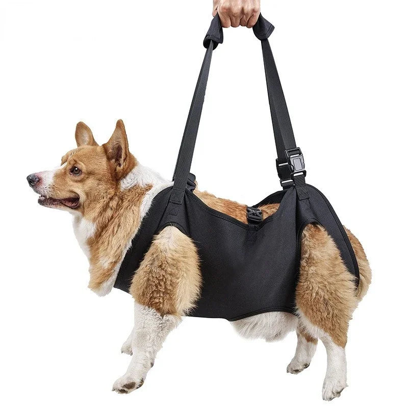 Dog Lift Harness Adjustable Full Body Support Dog Sling Breathable Straps for Assisted Mobility Dog Legs Hip Rehabilitation Lift