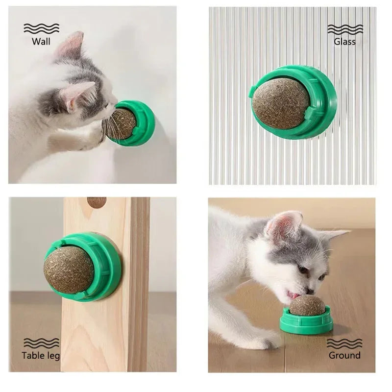 The Catnip Cat Wall Stick-on Ball Toy Scratchers Treats Healthy Natural Removes Balls To Promote Digestion Cat Grass Snack