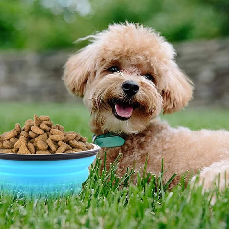 Pet Folding Silicone Bowl Collapsible Dog Food Bowl Water Large Outdoor Pet Travel Bowl Portable Puppy Food Container Feeder
