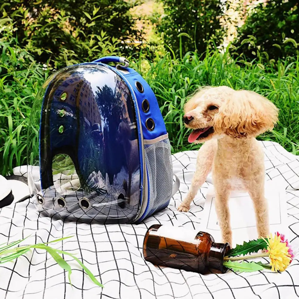 Manufacturer directly supplies cat bags, pet backpacks, portable and transparent space capsules, cat supplies, breathable backpa