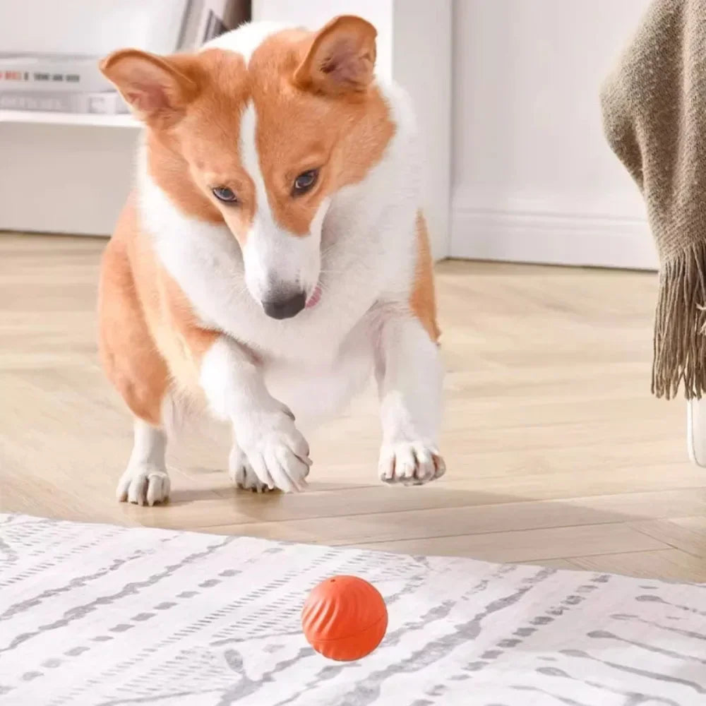 Automatic Moving Interactive Dog Toy Ball Smart USB Jumping Rotating Dog Chew Toy Ball for Puppy Ball Toys