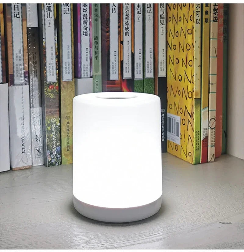 LED Night Light Touch Stepless Dimmable LED Table Lamp USB Portable Bedside Lamp for Bedroom Decor Sleeping Night Light Kid Gift