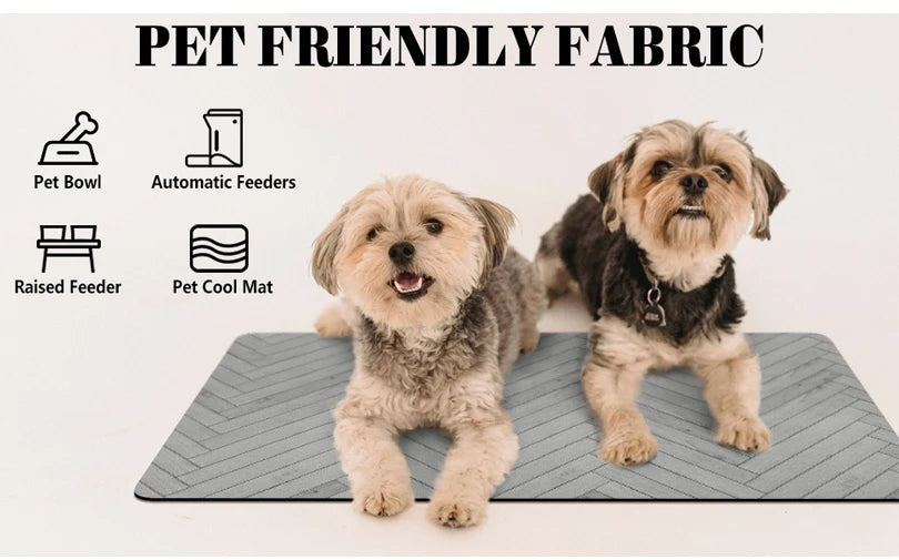 Automatic Dog Feeder – Smart Food Dispenser with Timer for Pets