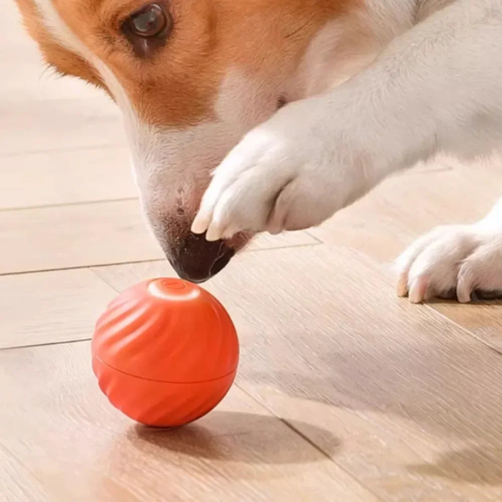 Automatic Moving Interactive Dog Toy Ball Smart USB Jumping Rotating Dog Chew Toy Ball for Puppy Ball Toys