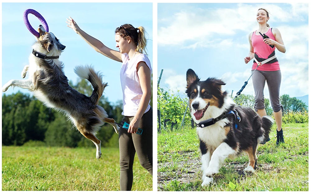 3280Ft Electric Dog Training Collar Remote Control Waterproof Pet BehaviorFor 5-120lbs Puppy With Vibration Shock