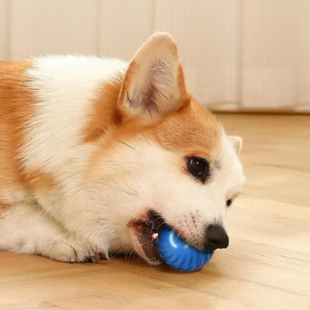 Automatic Moving Interactive Dog Toy Ball Smart USB Jumping Rotating Dog Chew Toy Ball for Puppy Ball Toys