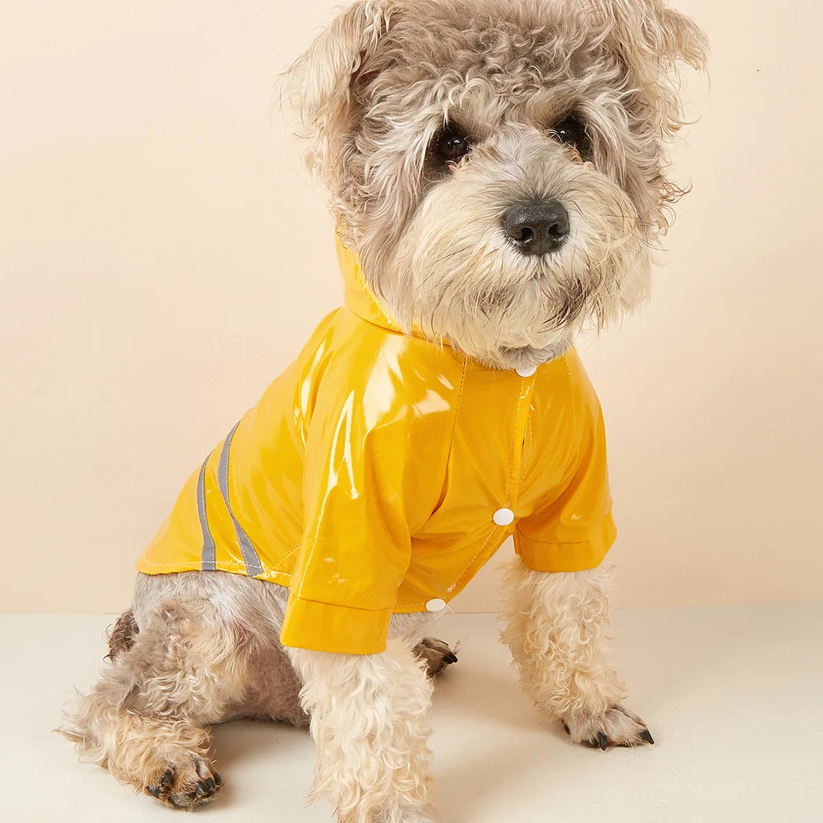 Small Dog Raincoat Reflective Waterproof Windproof Pet Dog Coat Puppy Cats Raincoat Chihuahua Bulldog Pets Cape Poncho Clothes