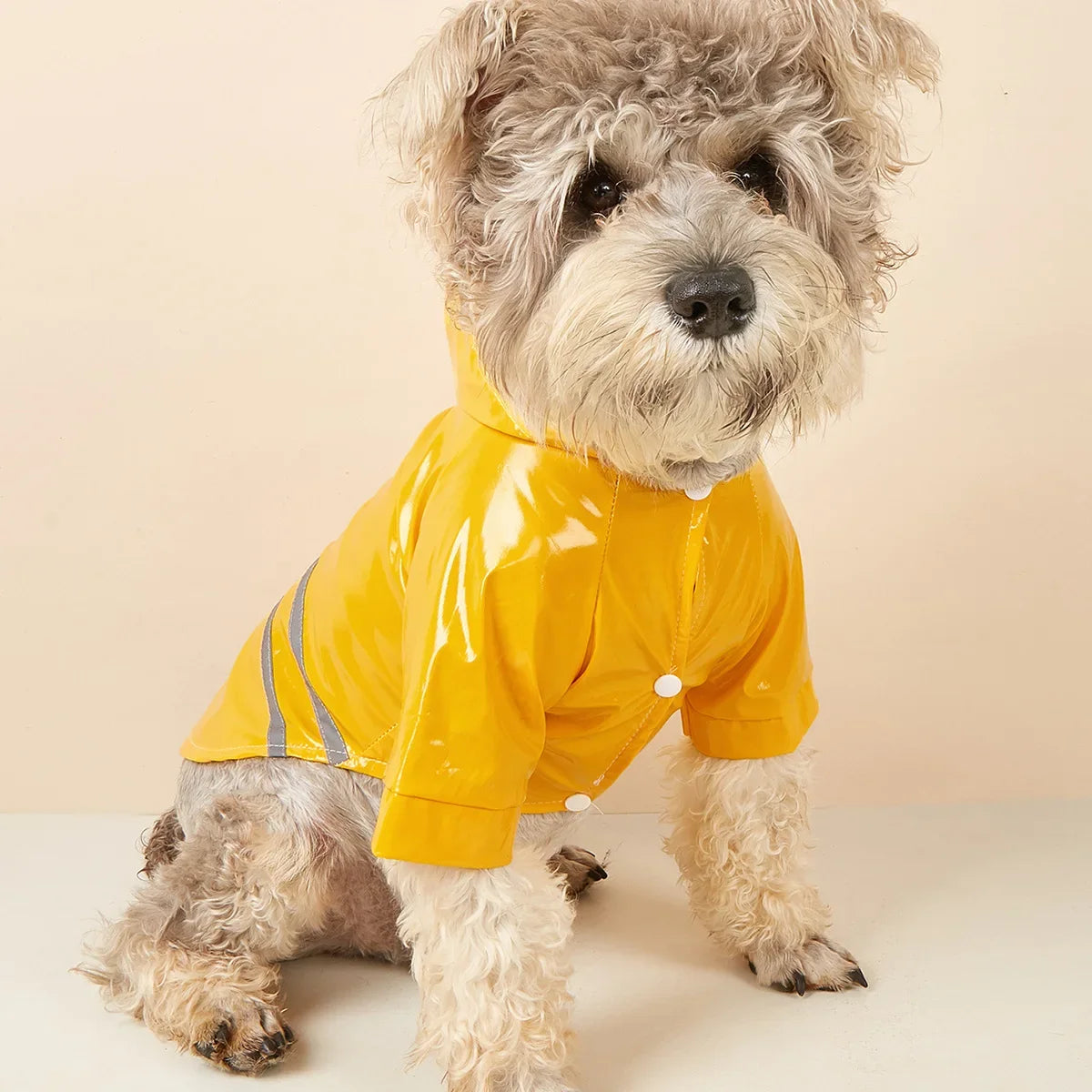 Small Dog Raincoat Reflective Waterproof Windproof Pet Dog Coat Puppy Cats Raincoat Chihuahua Bulldog Pets Cape Poncho Clothes