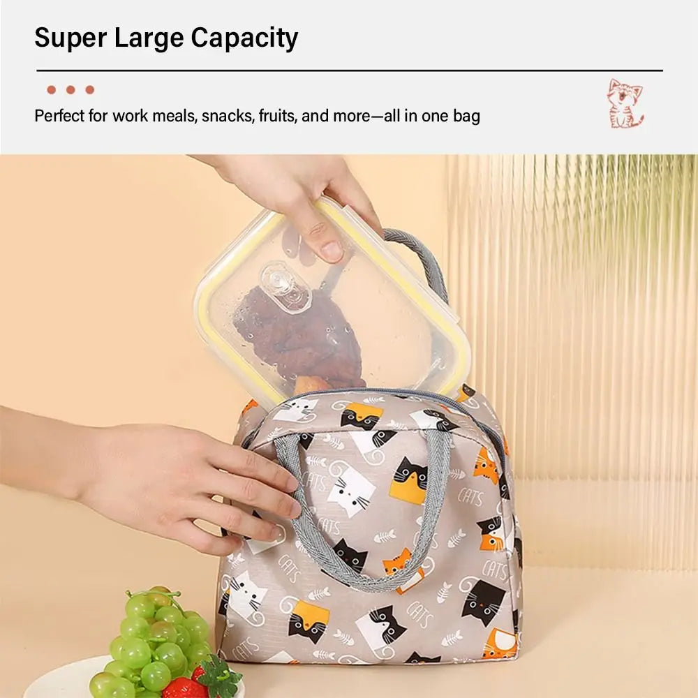Reusable Lunch Bag for Women Large Capacity Small Insulated Cooler Lunch Container Leakproof Lunch Tote Bags