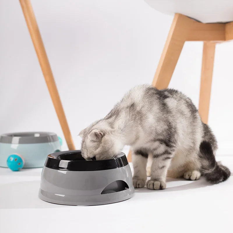 Pet Dog Bowls Floating Not Wetting Mouth Cat Bowl No Spill Drinking Water Feeder Plastic Portable Dog Bowl Outdoors Accessories