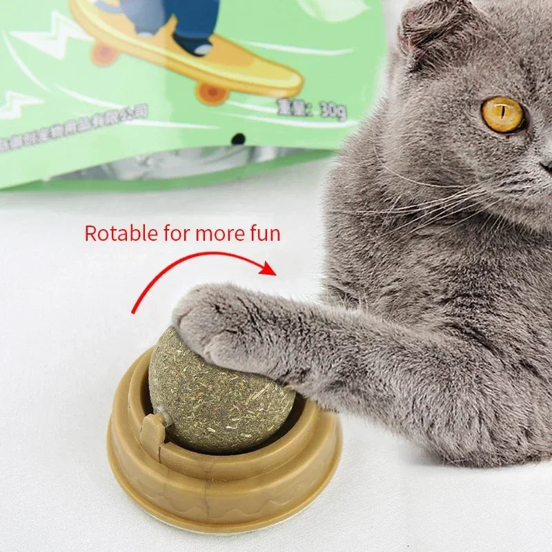 The Catnip Cat Wall Stick-on Ball Toy Scratchers Treats Healthy Natural Removes Balls To Promote Digestion Cat Grass Snack