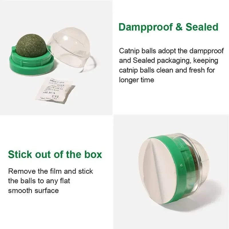 The Catnip Cat Wall Stick-on Ball Toy Scratchers Treats Healthy Natural Removes Balls To Promote Digestion Cat Grass Snack