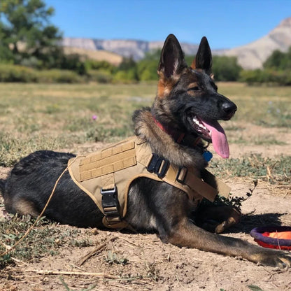 Large Dog Collar Dog Harness And Leash Set Pet Vest Tactical German Shepherd Harnesses For Small Dogs