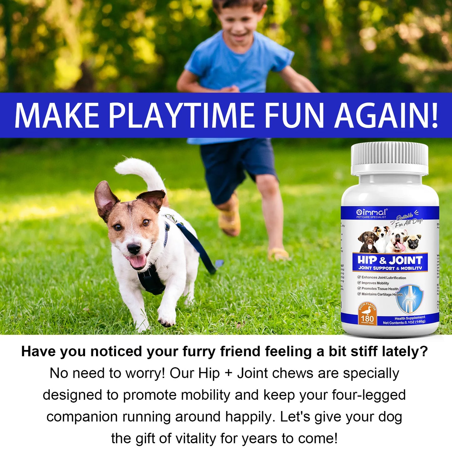 Hip and Joint Supplement Nourishing Support for Your Canine Companions Mobility and Flexibility Support Joint Health for Dogs