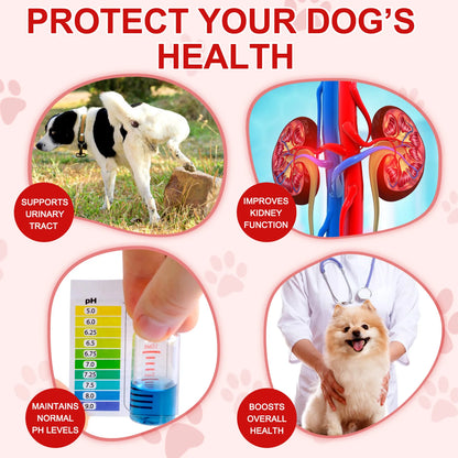 Cranberry Canine Care Optimal Urinary Tract Support for Dogs Enhancing Kidney Function with Chicken Flavor 180 Chewable Tablets
