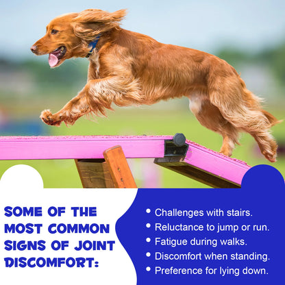 Hip and Joint Supplement Nourishing Support for Your Canine Companions Mobility and Flexibility Support Joint Health for Dogs