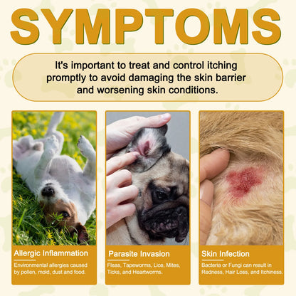 Comprehensive Canine Allergy Aid & Immunity Support Strengthening Dog's Defenses Against Allergens Enhanced Health and Vitality