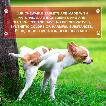 Cranberry Canine Care Optimal Urinary Tract Support for Dogs Enhancing Kidney Function with Chicken Flavor 180 Chewable Tablets