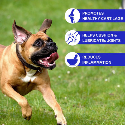 Hip and Joint Supplement Nourishing Support for Your Canine Companions Mobility and Flexibility Support Joint Health for Dogs