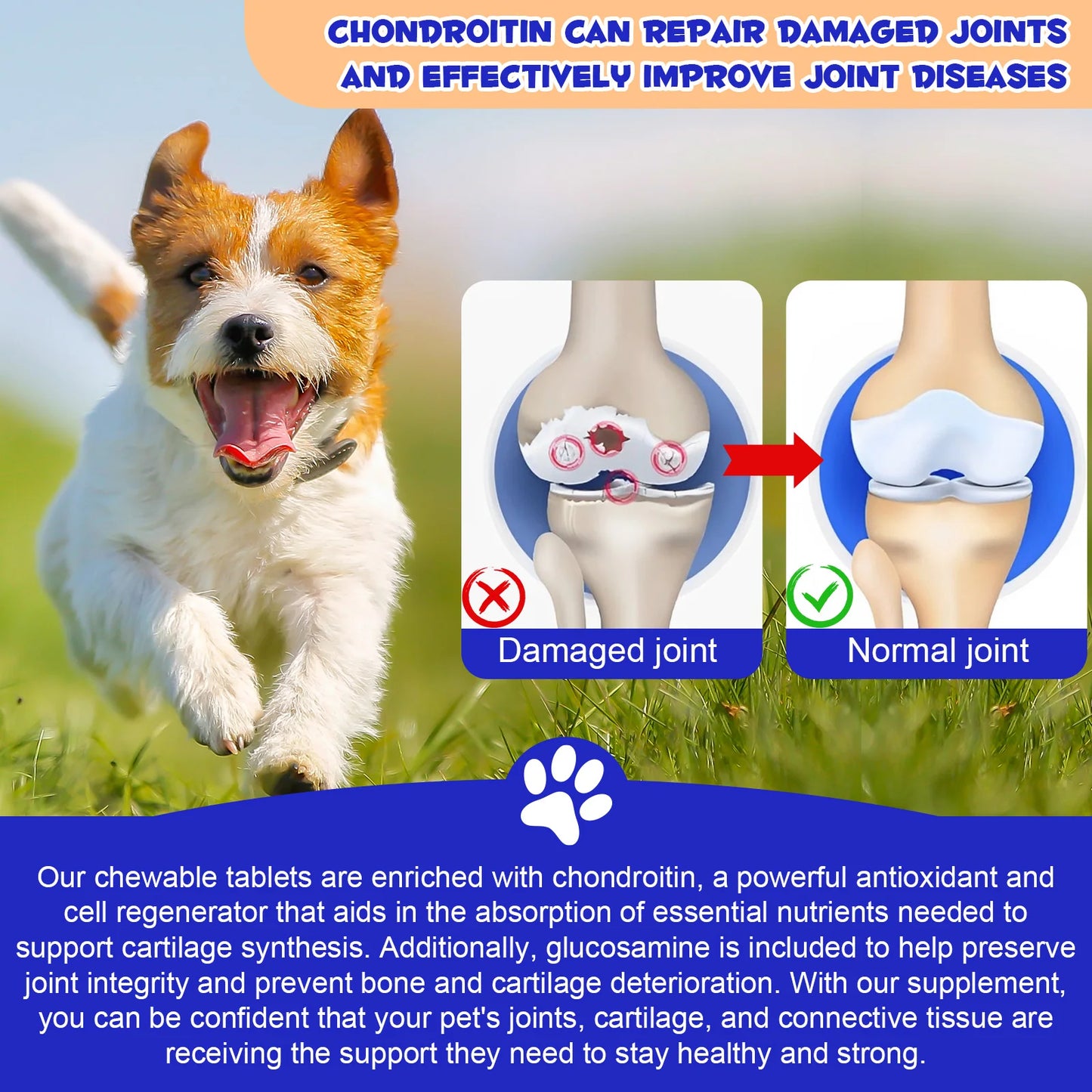 Hip and Joint Supplement Nourishing Support for Your Canine Companions Mobility and Flexibility Support Joint Health for Dogs