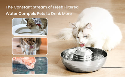 Cat Water Fountain Automatic Pet Dog Feeder Stainless Steel Water Dispenser Drinking Bowl with Ultra Quiet Pump Carbon Filters