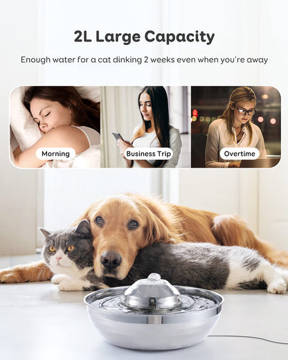 Cat Water Fountain Automatic Pet Dog Feeder Stainless Steel Water Dispenser Drinking Bowl with Ultra Quiet Pump Carbon Filters