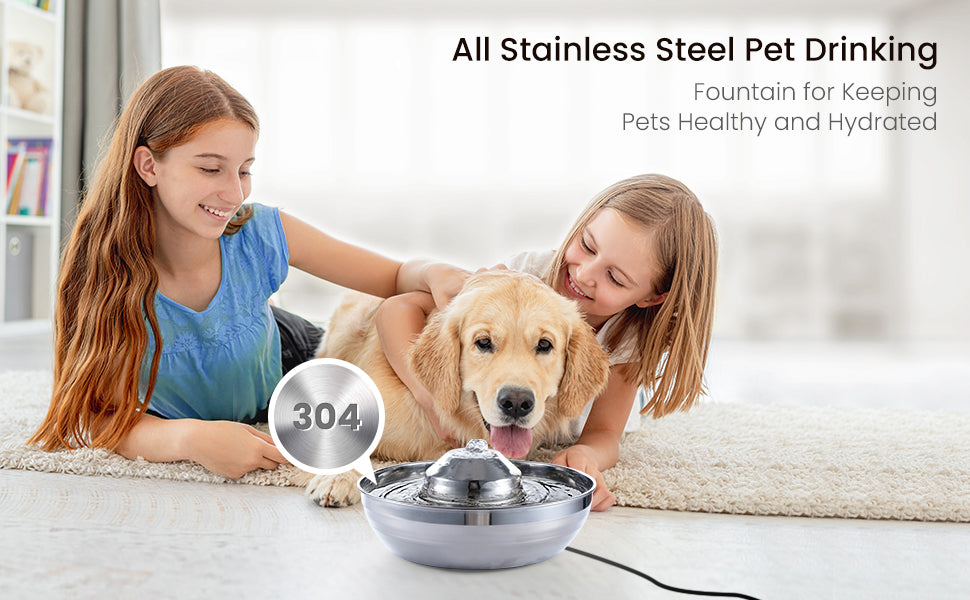 Cat Water Fountain Automatic Pet Dog Feeder Stainless Steel Water Dispenser Drinking Bowl with Ultra Quiet Pump Carbon Filters