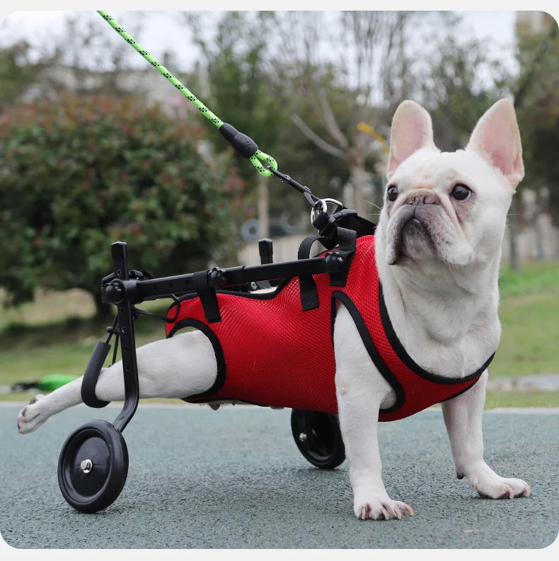 Pet Assisted Multifunctional Dog Chest Harness, Traction Rope, Pet Assisted Bike, Chest and Back Assistance