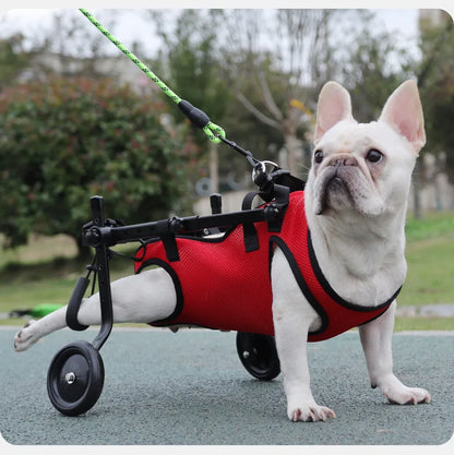 Pet Assisted Multifunctional Dog Chest Harness, Traction Rope, Pet Assisted Bike, Chest and Back Assistance