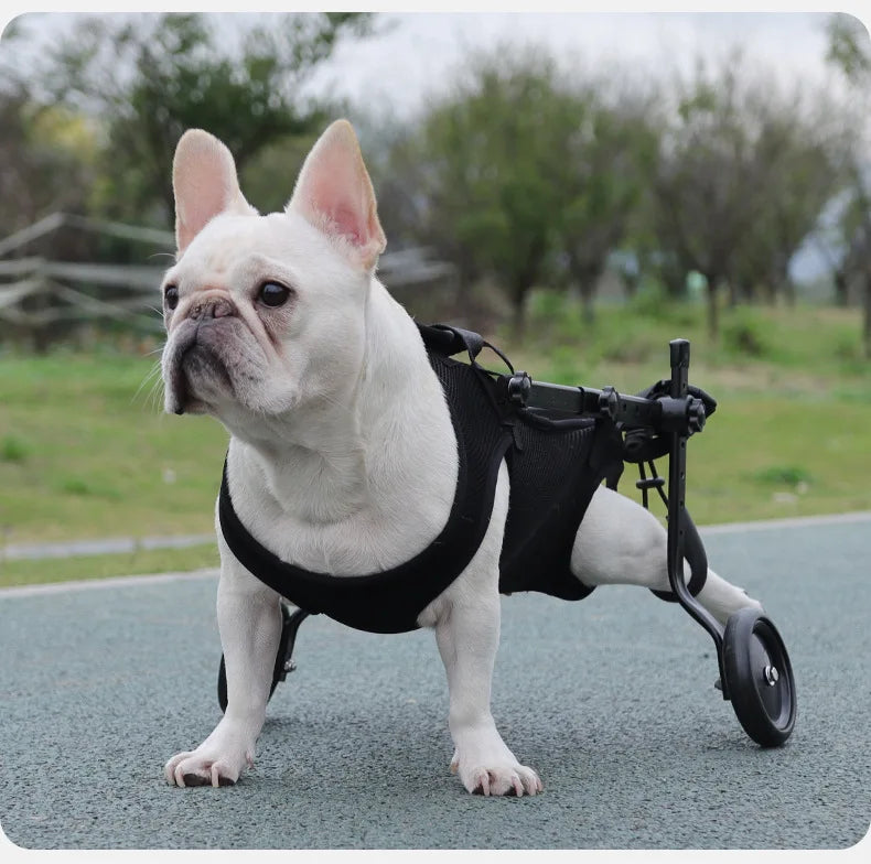 Pet Assisted Multifunctional Dog Chest Harness, Traction Rope, Pet Assisted Bike, Chest and Back Assistance