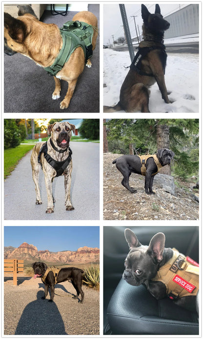 Tactical Training Dog No-Pull Safety Harness Vest Adjustable Dog Vest Harness For Walking Hiking Running For Medium Large Dogs