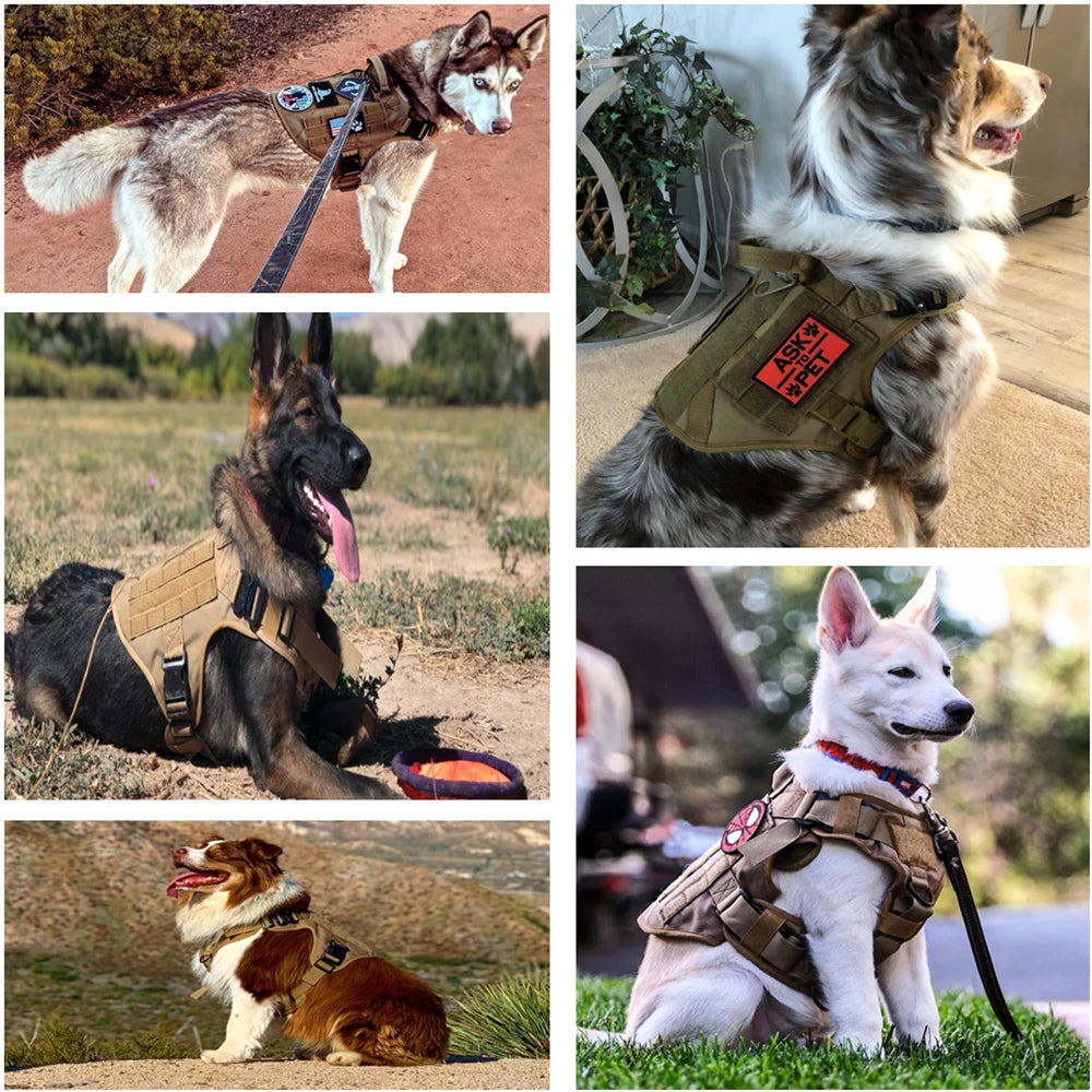 Large Dog Collar Military Dog Harness Leash Molle Pouches Pet Training Vest Tactical German Shepherd Harnesses Dogs Accessories