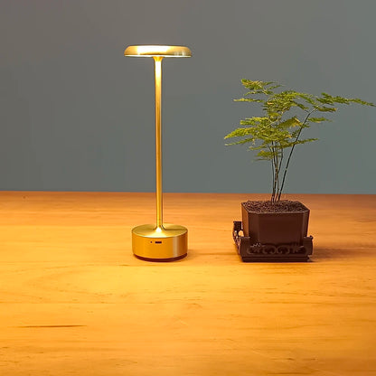 Aluminum alloy rechargeable hotel  living room  bedroom  bedside lamp warm and romantic modern industrial style LED night light