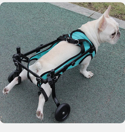 Pet Assisted Multifunctional Dog Chest Harness, Traction Rope, Pet Assisted Bike, Chest and Back Assistance