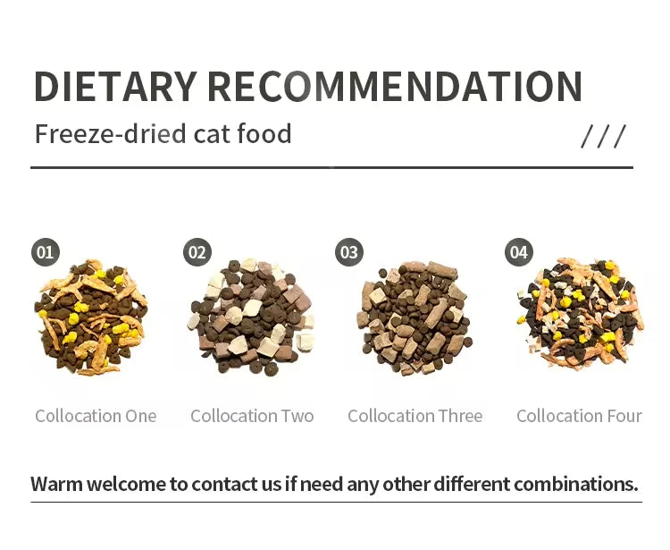 OEM Chinese Cat Food Factory High Nutrition Balance 10kg Chicken Flavor Dry Food Good Price Grain Free Wholesale Bulk Supply