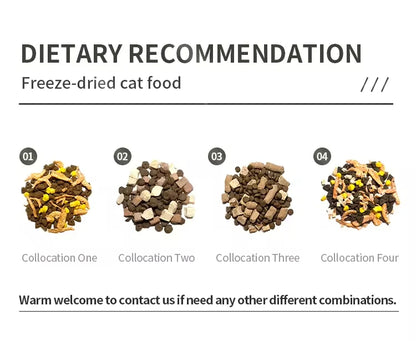OEM Chinese Cat Food Factory High Nutrition Balance 10kg Chicken Flavor Dry Food Good Price Grain Free Wholesale Bulk Supply