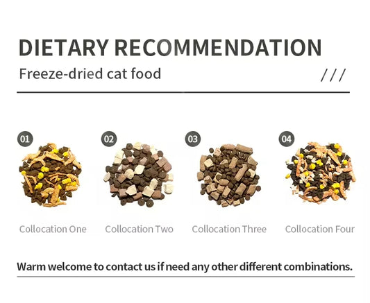 OEM Chinese Cat Food Factory High Nutrition Balance 10kg Chicken Flavor Dry Food Good Price Grain Free Wholesale Bulk Supply